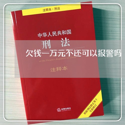 欠钱一万元不还可以报警吗/2023110717168