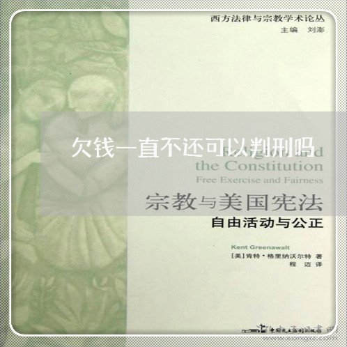 欠钱一直不还可以判刑吗/2023110756259