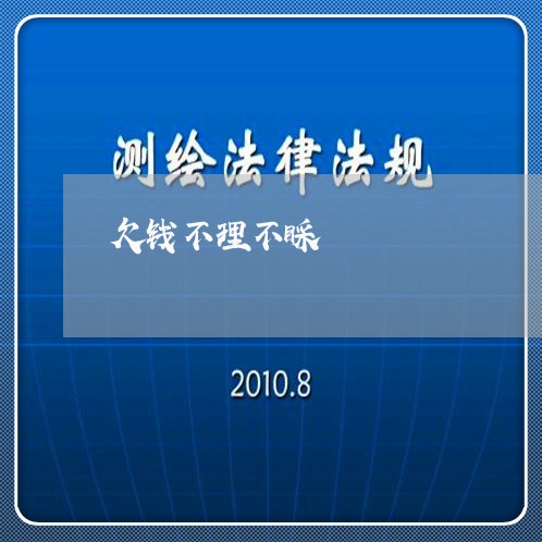 欠钱不理不睬/2023100854805