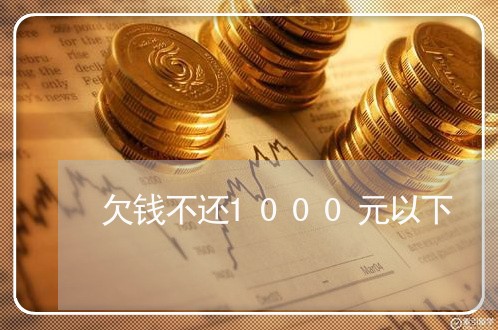 欠钱不还1000元以下/2023111438392