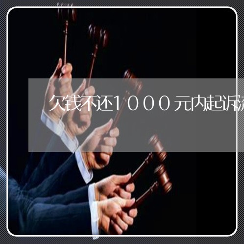 欠钱不还1000元内起诉流程/2023092182704