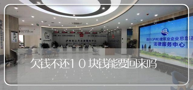 欠钱不还10块钱能要回来吗/2023110995026