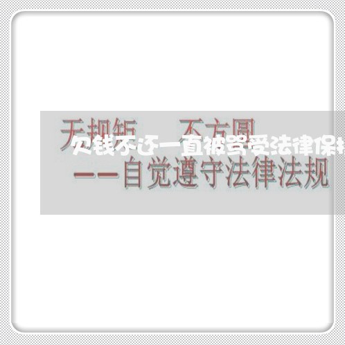 欠钱不还一直被骂受法律保护吗/2023120575735