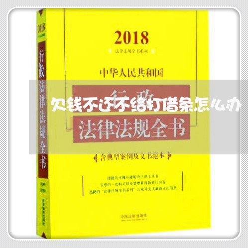 欠钱不还不给打借条怎么办/2023120972823