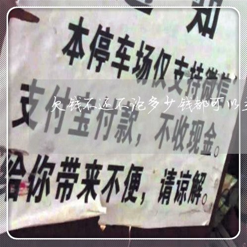 欠钱不还不论多少钱都可以立案/2023120597372