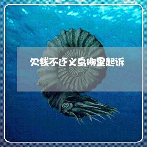 欠钱不还义乌哪里起诉/2023111618360