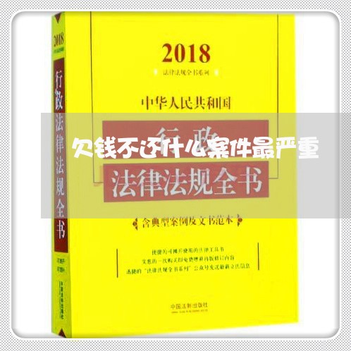 欠钱不还什么案件最严重/2023111071594