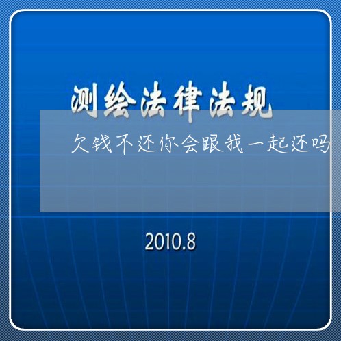 欠钱不还你会跟我一起还吗/2023110859492