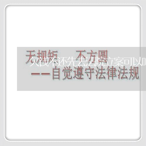 欠钱不还先去法院立案可以吗/2023110859606