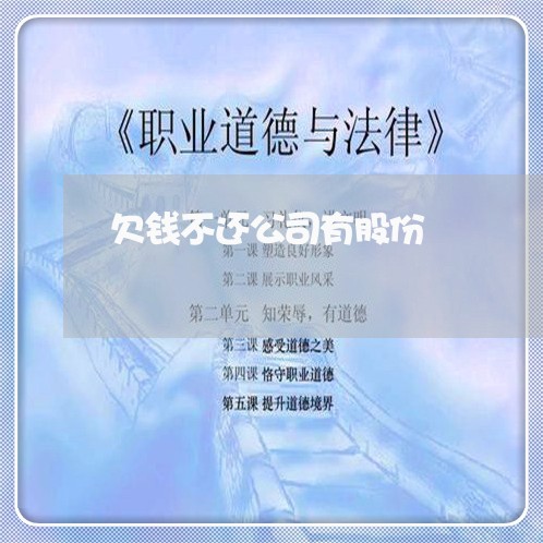 欠钱不还公司有股份/2023111659694