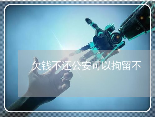 欠钱不还公安可以拘留不/2023091669202