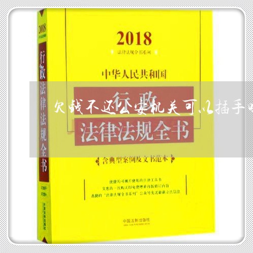 欠钱不还公安机关可以插手吗/2023092861614