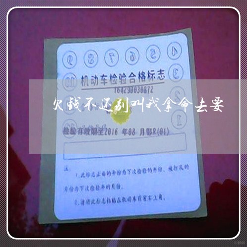 欠钱不还别叫我拿命去要/2023092785128