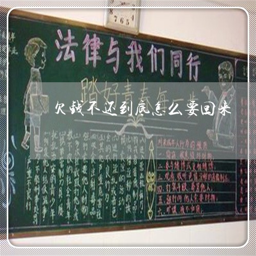 欠钱不还到底怎么要回来/2023092008402