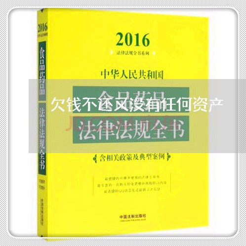 欠钱不还又没有任何资产/2023112455249