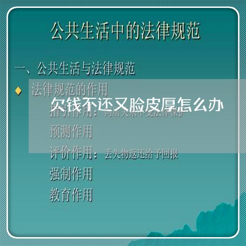 欠钱不还又脸皮厚怎么办/2023120316351