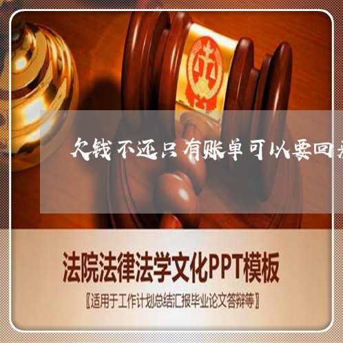 欠钱不还只有账单可以要回来吗/2023120437042