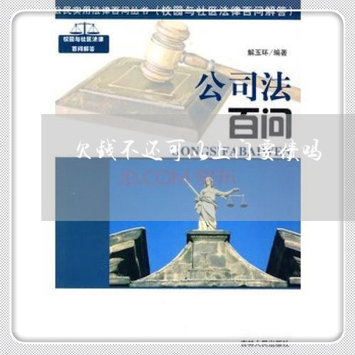 欠钱不还可以上门要债吗/2023120875917