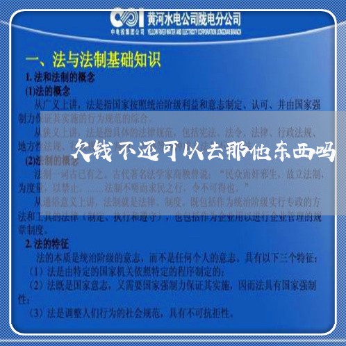 欠钱不还可以去那他东西吗/2023120436049