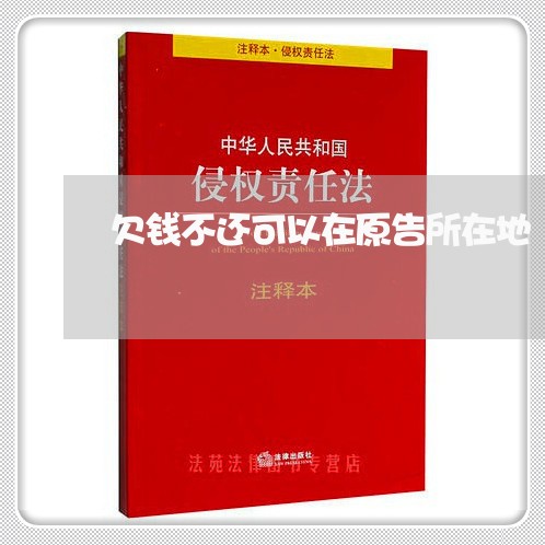 欠钱不还可以在原告所在地/2023120424925