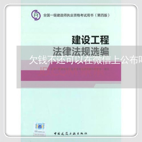 欠钱不还可以在微信上公布吗/2023120438379