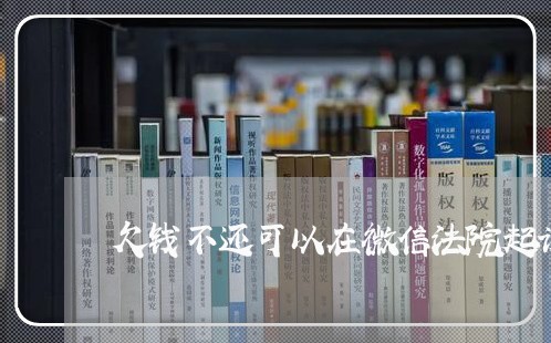 欠钱不还可以在微信法院起诉吗/2023120525169