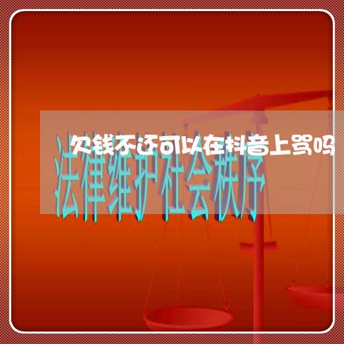 欠钱不还可以在抖音上骂吗/2023110830794