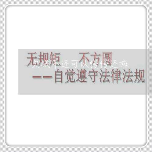 欠钱不还可以慢慢还嘛/2023112730370