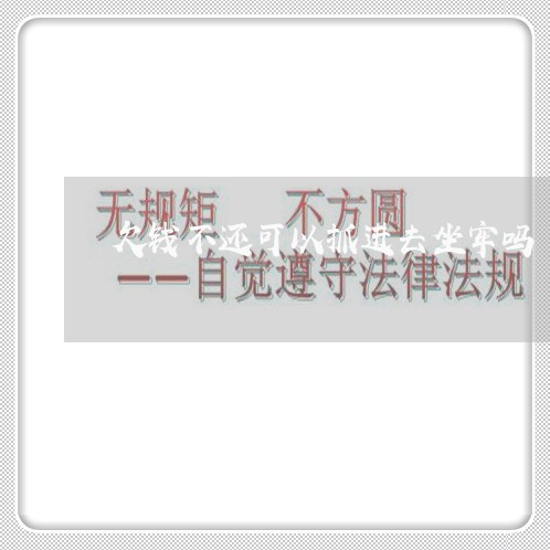 欠钱不还可以抓进去坐牢吗/2023110871695