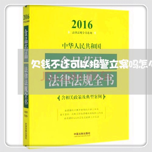 欠钱不还可以报警立案吗怎么处理/2023110818161