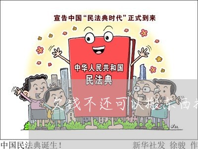 欠钱不还可以搬东西抵债吗怎么办/2023110928482