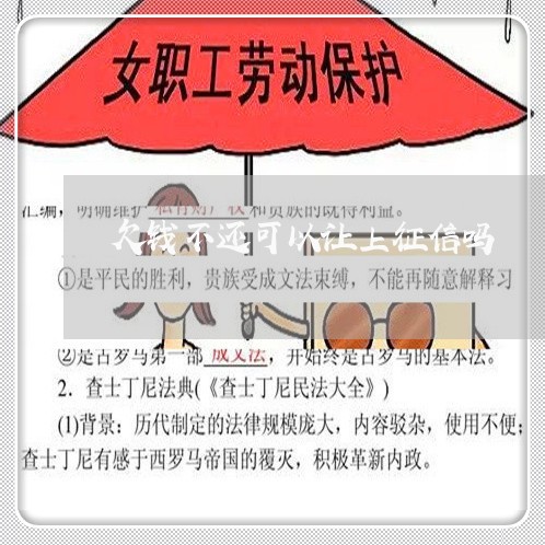 欠钱不还可以让上征信吗/2023120940381