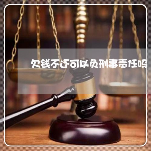 欠钱不还可以负刑事责任吗/2023120972614