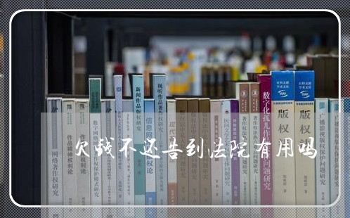 欠钱不还告到法院有用吗/2023110616369