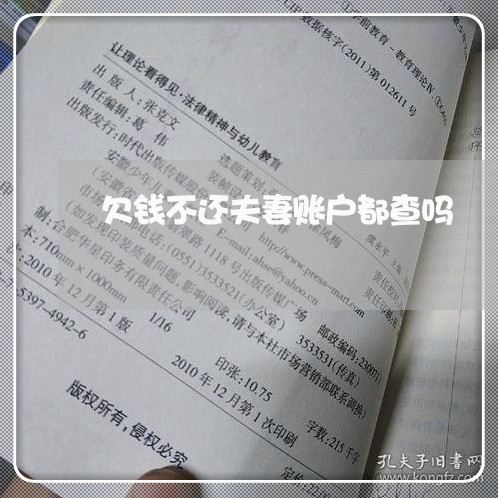 欠钱不还夫妻账户都查吗/2023110239492