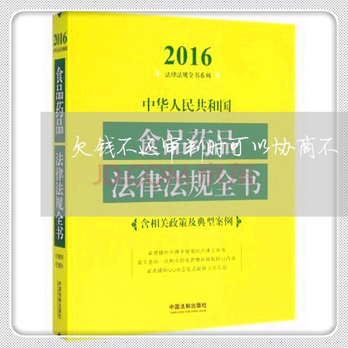 欠钱不还审判时可以协商不/2023112431483