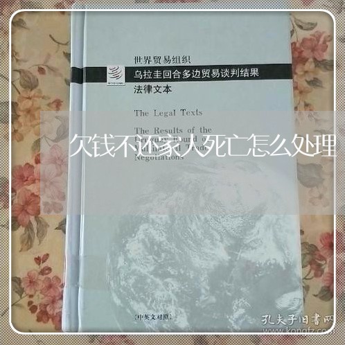 欠钱不还家人死亡怎么处理/2023112641616