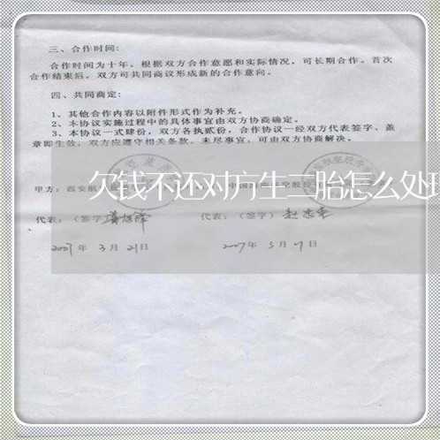 欠钱不还对方生二胎怎么处理/2023110963592