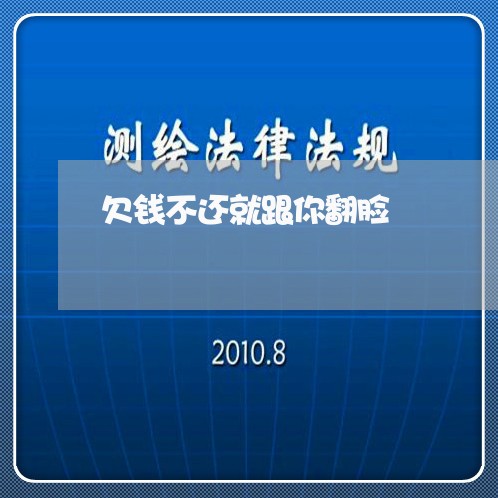 欠钱不还就跟你翻脸/2023111671594