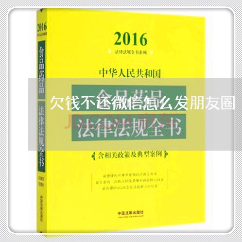 欠钱不还微信怎么发朋友圈/2023120940603