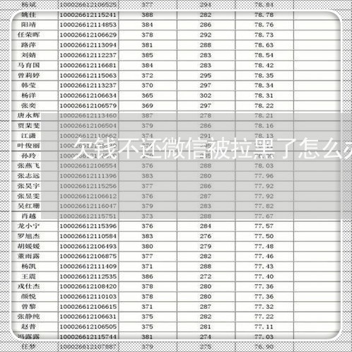 欠钱不还微信被拉黑了怎么办/2023110870494