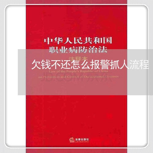 欠钱不还怎么报警抓人流程/2023092014138