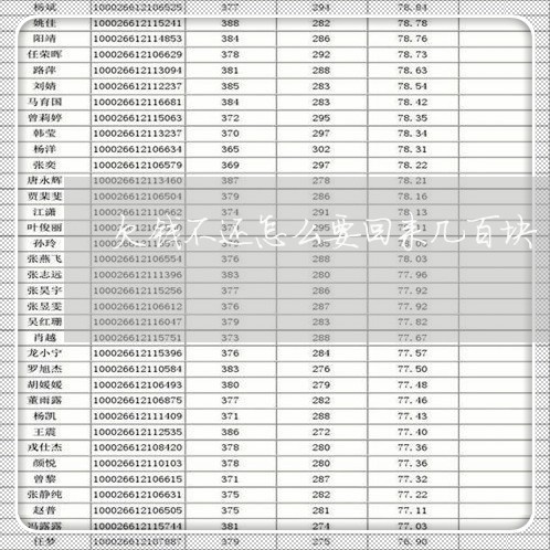 欠钱不还怎么要回来几百块/2023120982582