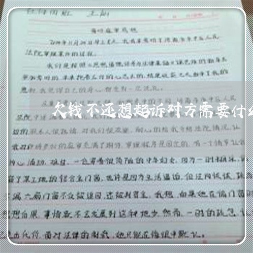 欠钱不还想起诉对方需要什么资料/2023110884036