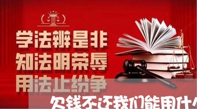 欠钱不还我们能用什么手段/2023091659273