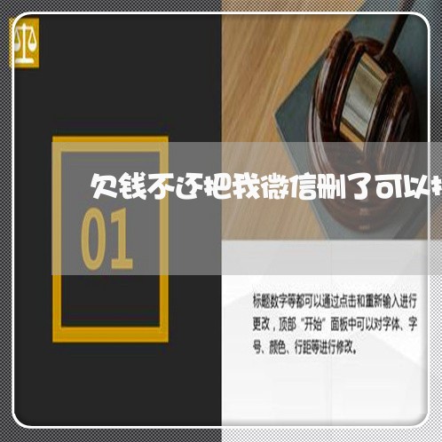 欠钱不还把我微信删了可以报警吗/2023121049359