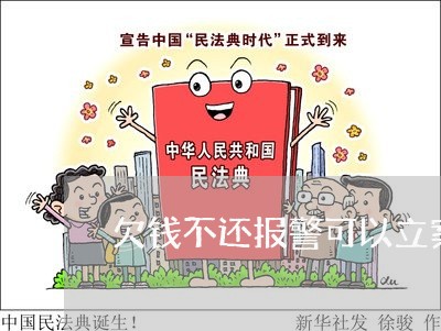 欠钱不还报警可以立案么/2023092152604