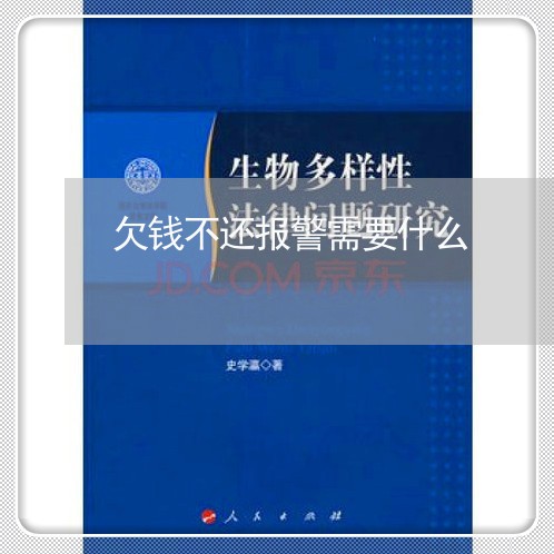 欠钱不还报警需要什么/2023112603757