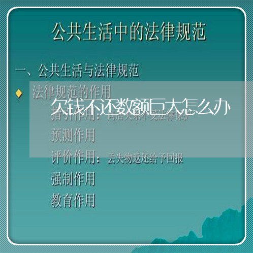 欠钱不还数额巨大怎么办/2023112745040