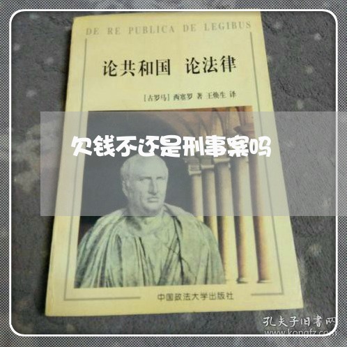 欠钱不还是刑事案吗/2023112543716